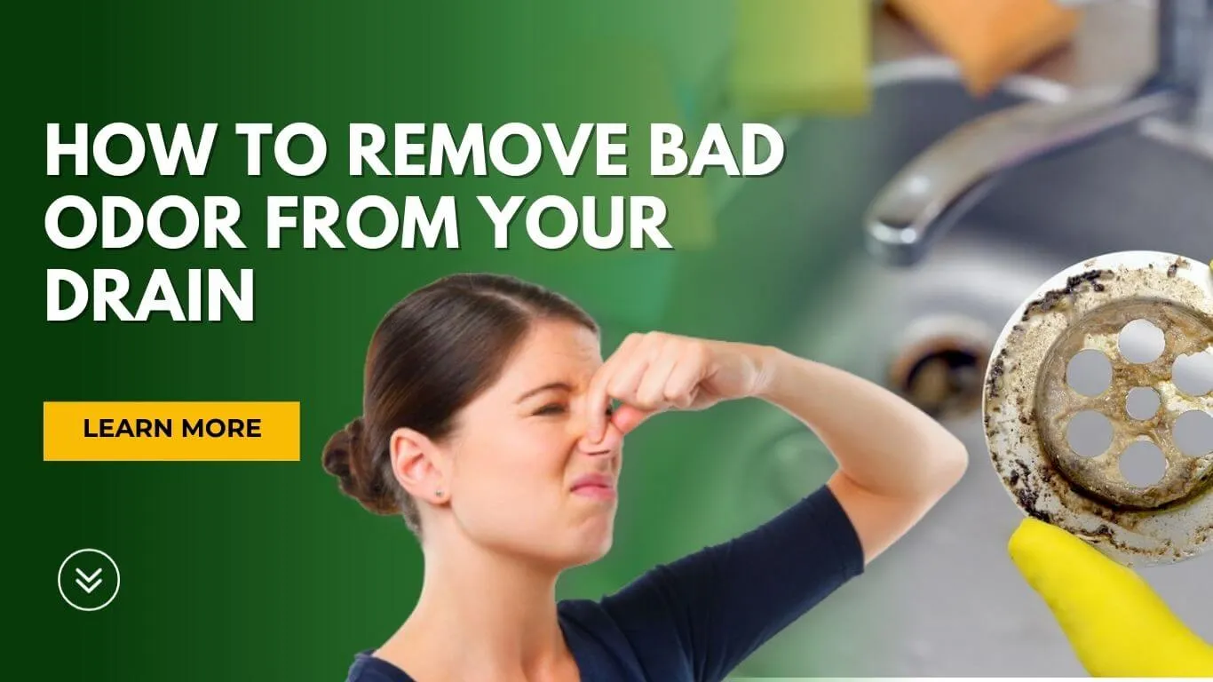 Persistent Drain Smells: A Guide to Diagnosis & Evidence-Based Solutions